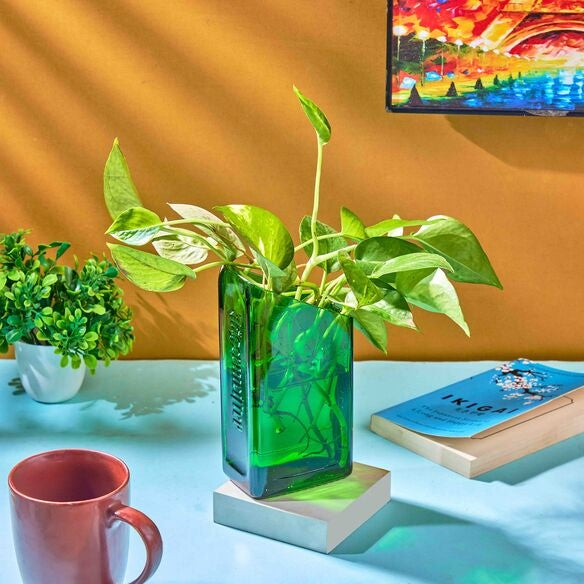 Jägermeister Slant Vase